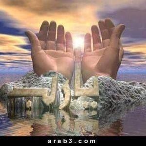 Meet your Posher, Lilia